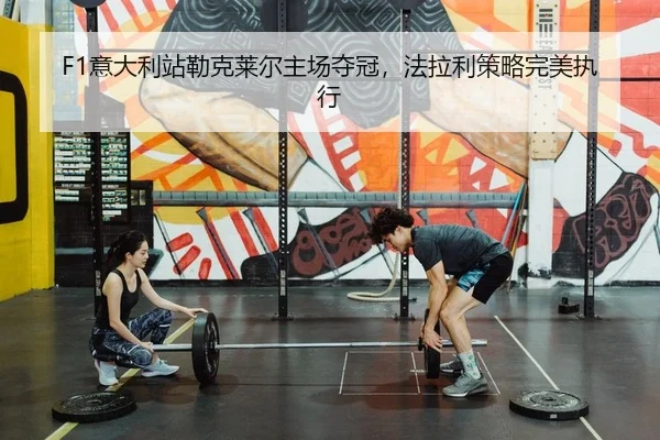 yi-da-li-zhan-lei-ke-lai-er-zhu-chang-duo-guan-fa-la-li-ce-lve-wan-mei-zhi-xing-2-573.jpg